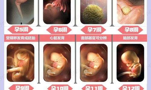 权威抗皱嫩肤霜多少钱一支平台,分享专业抗皱嫩肤霜多少钱一支知识_嫩肤抗皱类产品功效评价网